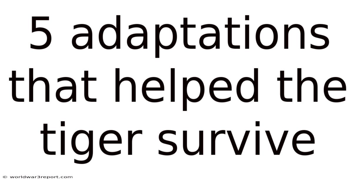 5 Adaptations That Helped The Tiger Survive