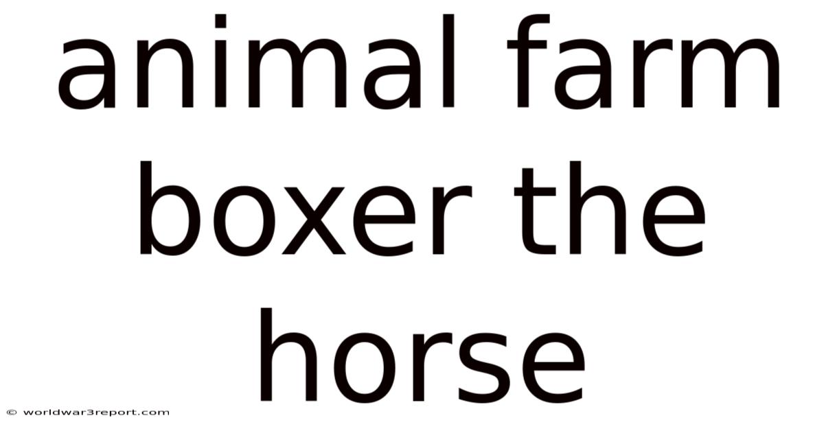 Animal Farm Boxer The Horse