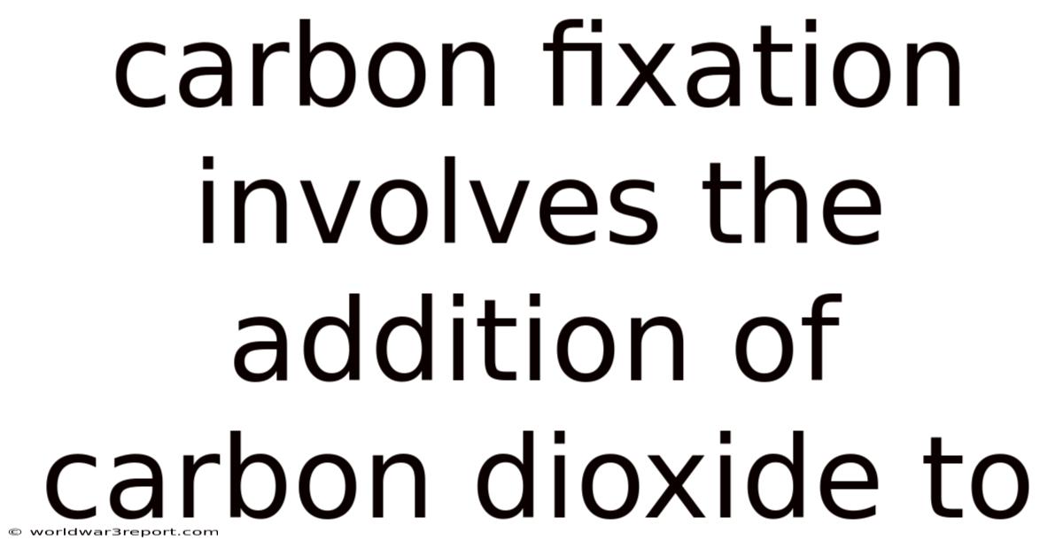Carbon Fixation Involves The Addition Of Carbon Dioxide To