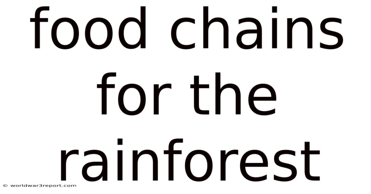 Food Chains For The Rainforest