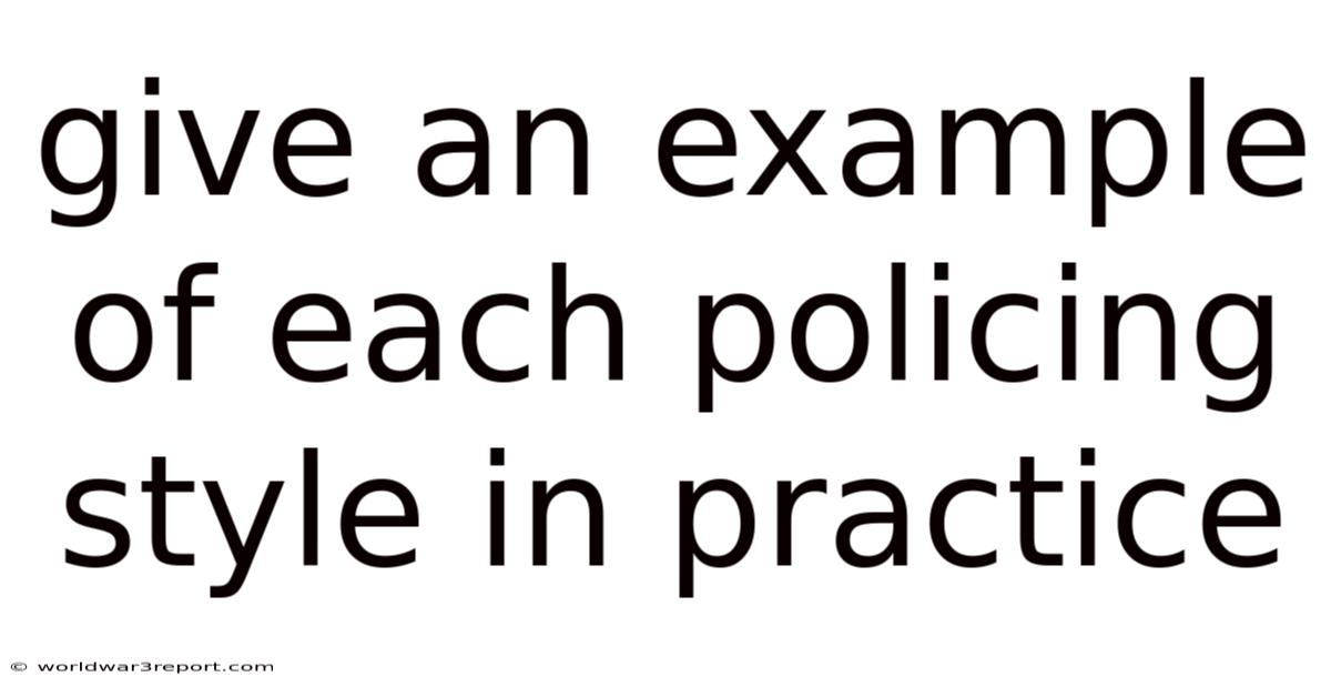 Give An Example Of Each Policing Style In Practice
