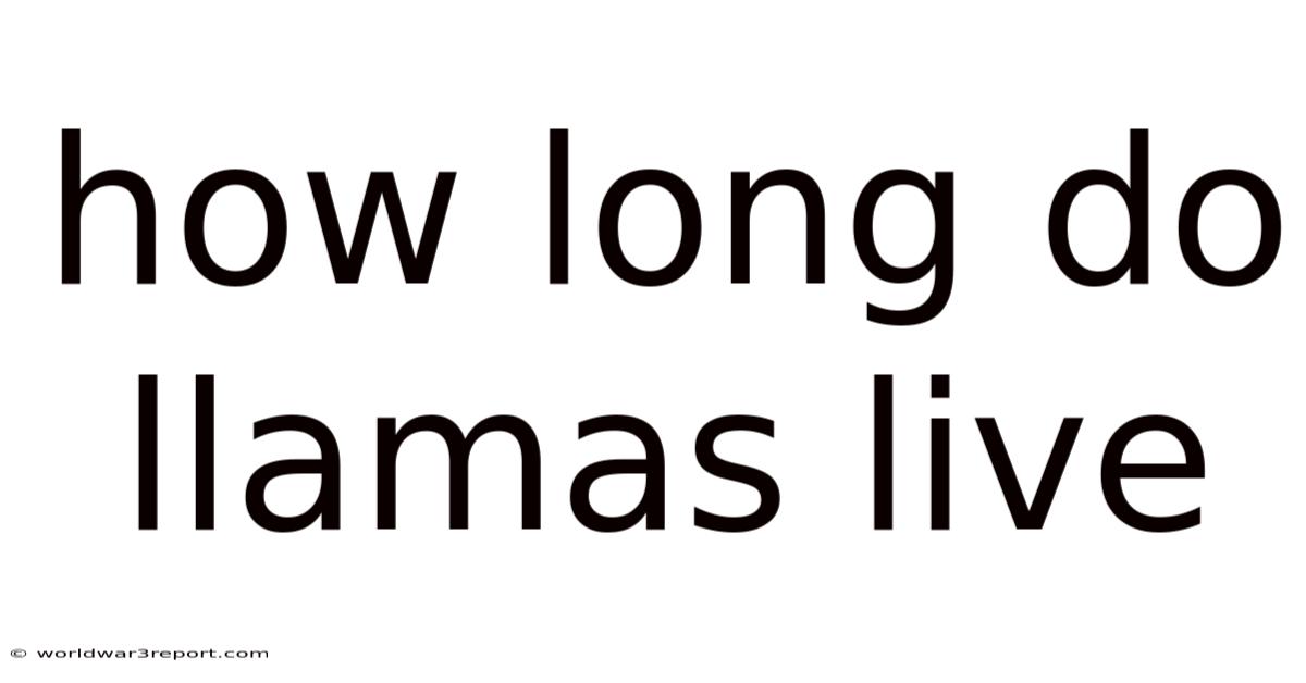 How Long Do Llamas Live