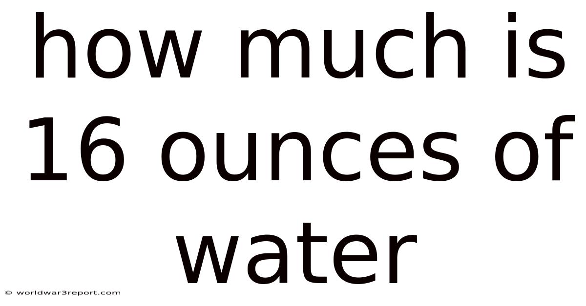 How Much Is 16 Ounces Of Water
