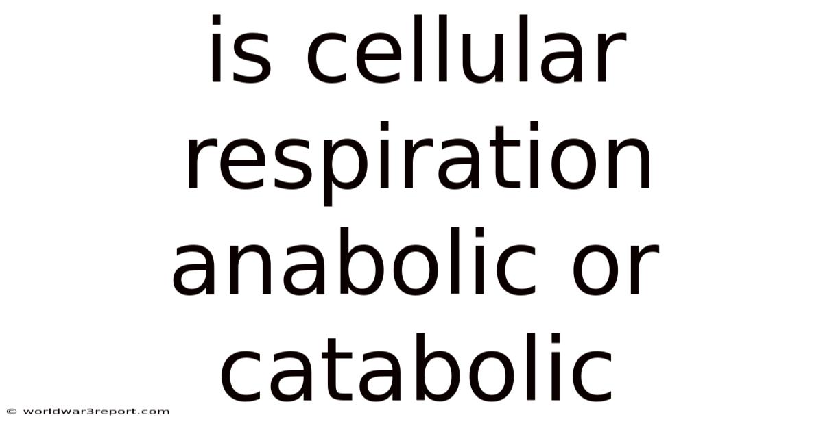 Is Cellular Respiration Anabolic Or Catabolic
