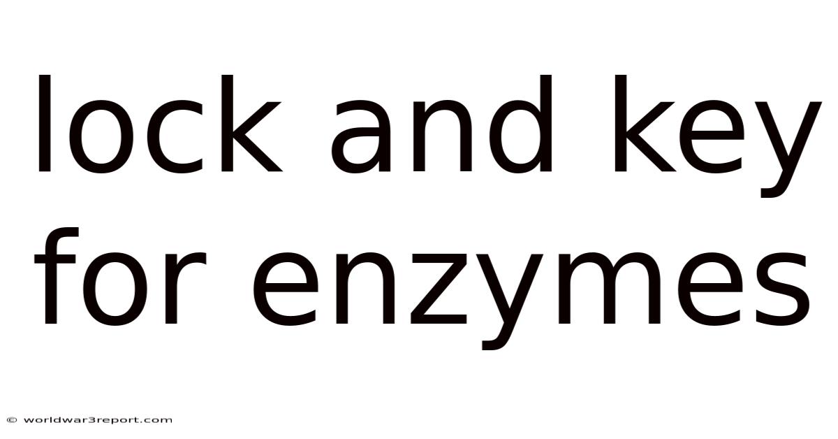 Lock And Key For Enzymes
