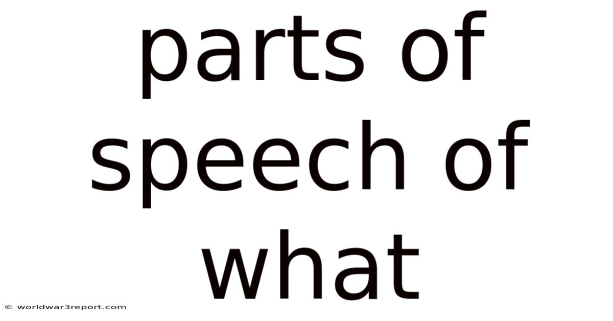 Parts Of Speech Of What