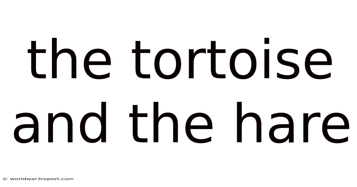 The Tortoise And The Hare