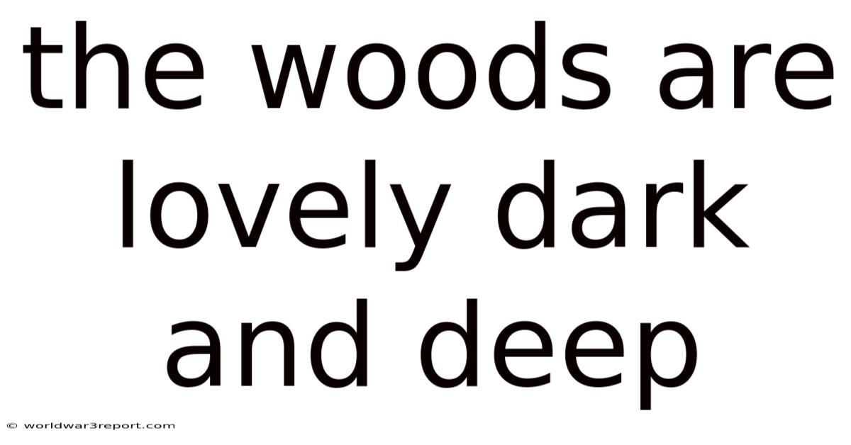 The Woods Are Lovely Dark And Deep