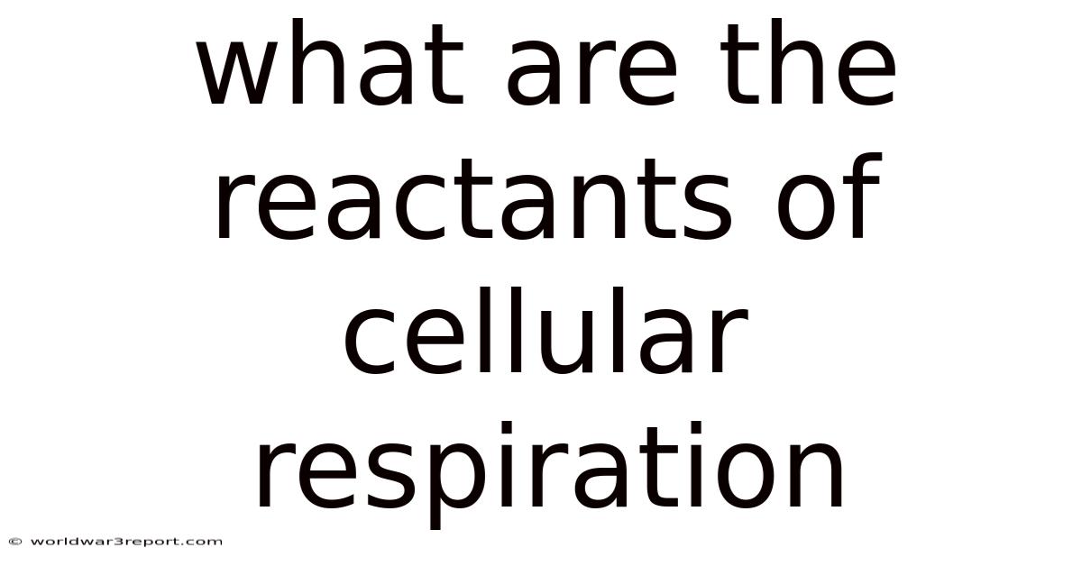 What Are The Reactants Of Cellular Respiration