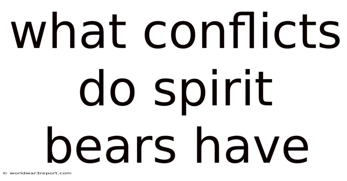 What Conflicts Do Spirit Bears Have