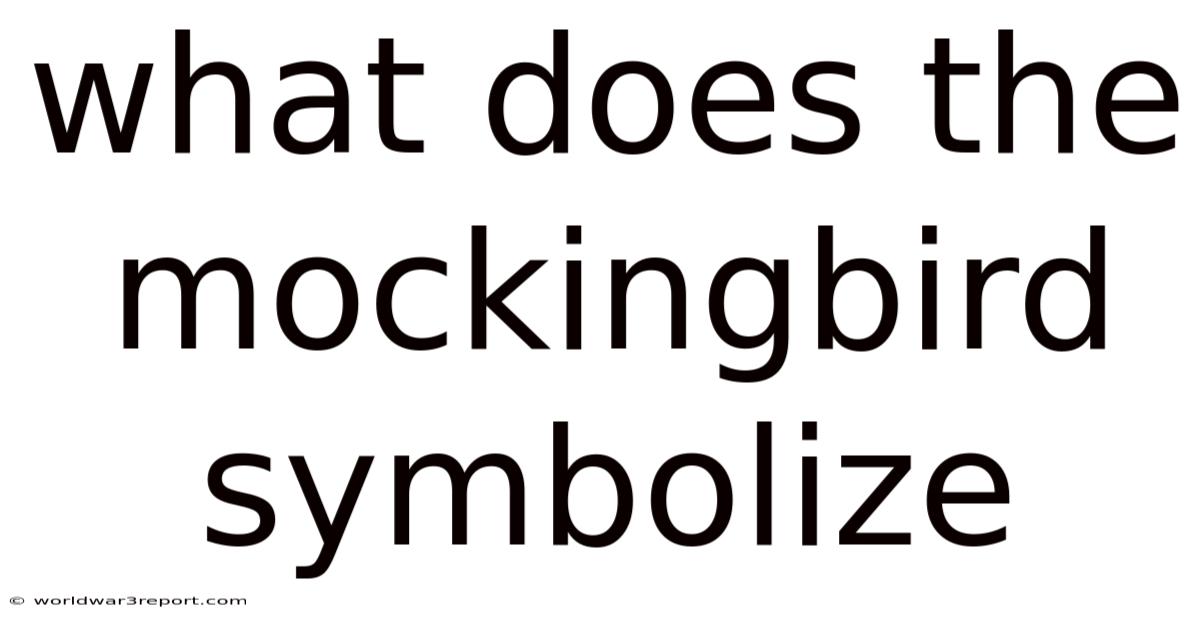 What Does The Mockingbird Symbolize