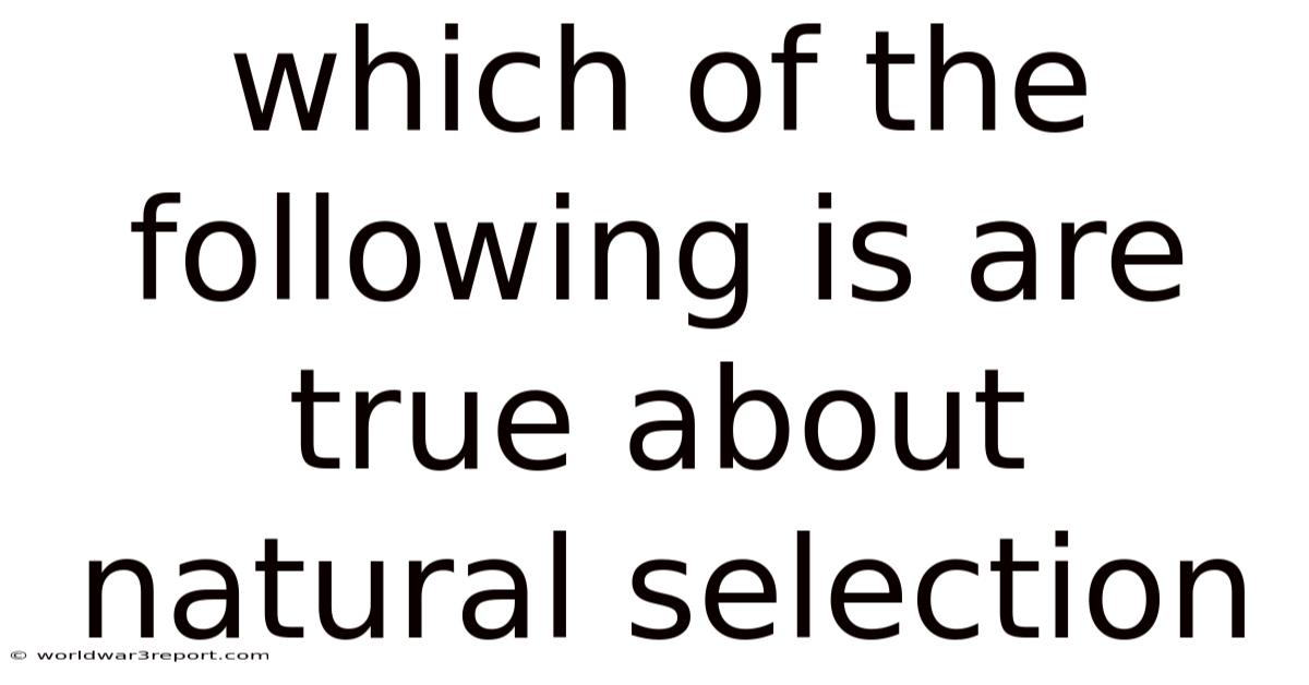 Which Of The Following Is Are True About Natural Selection